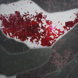 Bariolage Early Bloom