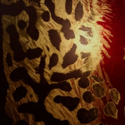 King Cheetah Imperial