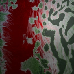 King Cheetah Predator Bloom