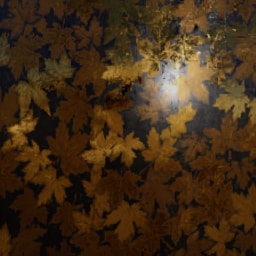 Leaffall Gold