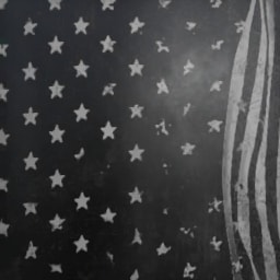 Old Glory Black Line